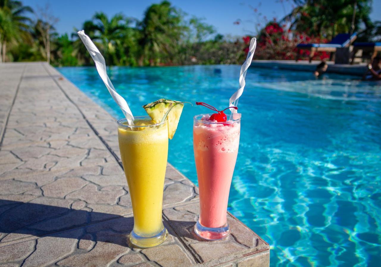 Cassia Hill Resort San Ignacio Eksteriør bilde